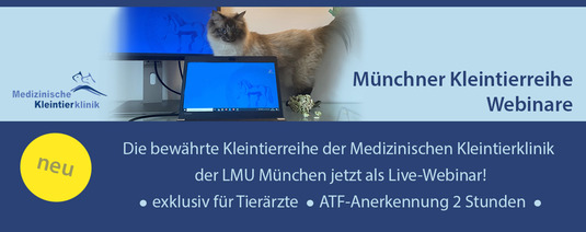 Header klein Münchner KTR Webinare für Zoom