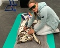 A Lasertherapie (2) Kopie